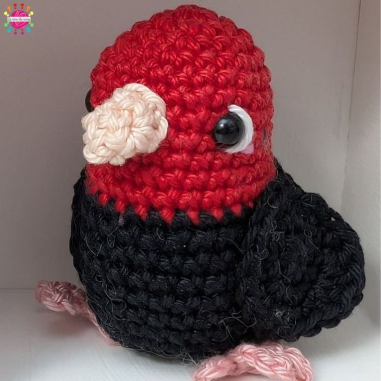 LRDR Turkey Vulture Pocket Birds of Prey