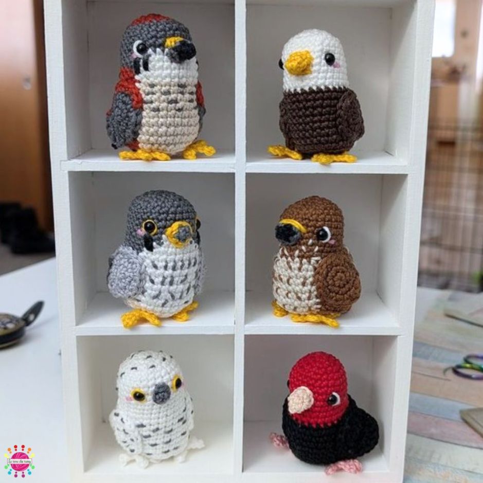 Oiseaux de poche - Les oiseaux de proie