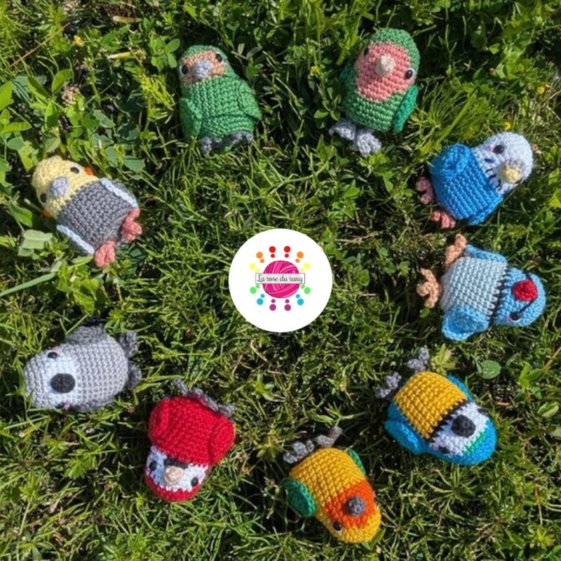 Nouveau patron!! Oiseaux de poche –&nbsp;Perroquets!
